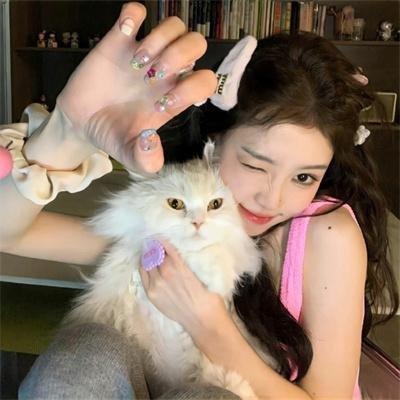 黑客帝国2：重装上阵